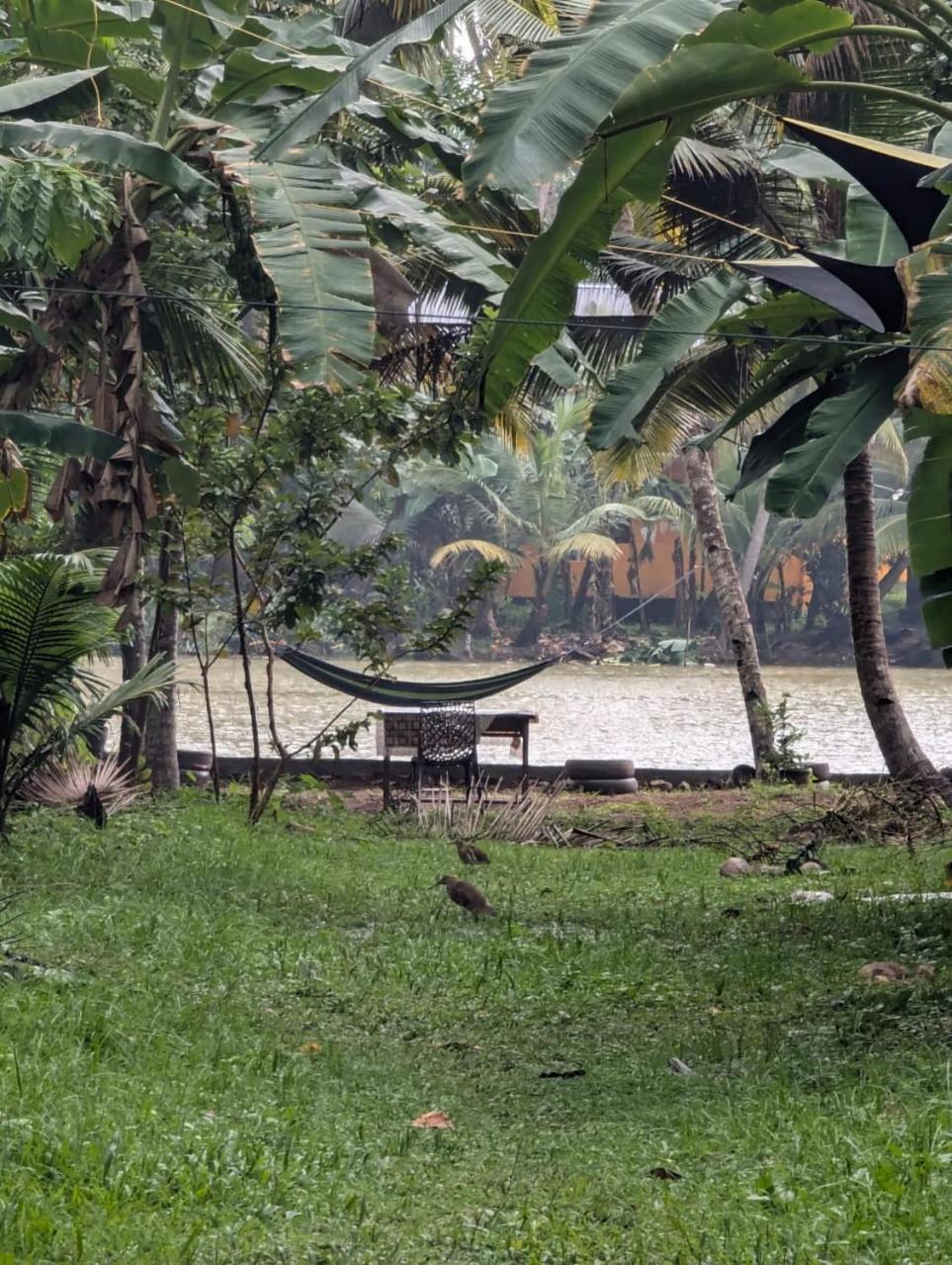 Islandstay-A Riverside Property Kollam Exterior foto